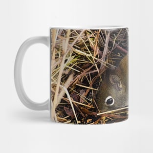 Searching for seeds. Mug